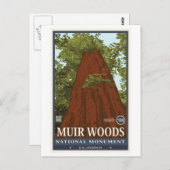 Muir Bossen Nationaal Monument 3 Briefkaart (Voorkant / Achterkant)