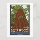 Muir Bossen Nationaal Monument 3 Briefkaart (Voorkant)