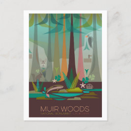 Muir Bossen Nationaal Monument Briefkaart