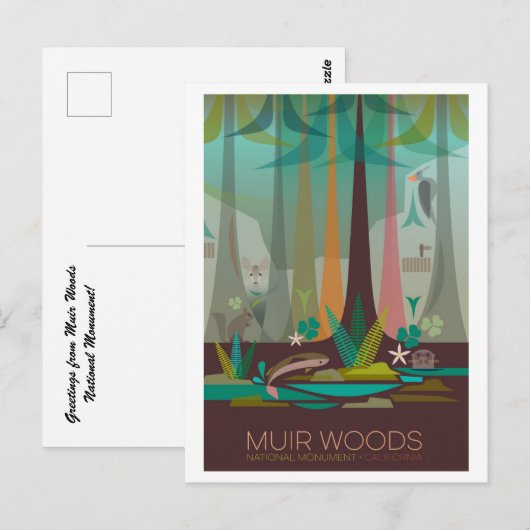 Muir Bossen Nationaal Monument Briefkaart (Voorkant / Achterkant)