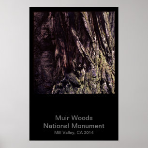 Muir Bossen National Monument Color (Dark) Poster