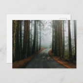 Muir Bossen National Monument (Mill Valley, VS) Briefkaart (Voorkant / Achterkant)