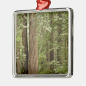 Muir Bossen National Monument (Northern) Metalen Ornament (Links)