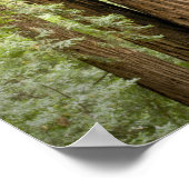 Muir Bossen National Monument (Northern) Poster (Hoek)