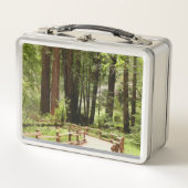 Muir Bossen Path I Natuur Fotografie (Voorkant)