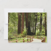 Muir Bossen Path I Natuur Fotografie (Voorkant)