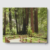 Muir Bossen Path I Natuur Fotografie Gastenboek (Achterkant)