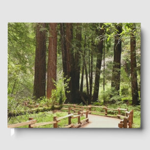 Muir Bossen Path I Natuur Fotografie Gastenboek