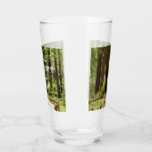 Muir Bossen Path I Natuur Fotografie Glas (Links)