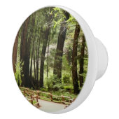 Muir Bossen Path I Natuur Fotografie Keramische Knop (Rechts)