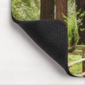 Muir Bossen Path I Natuur Fotografie Muismat (Hoek)