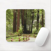 Muir Bossen Path I Natuur Fotografie Muismat (Met muis)