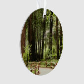 Muir Bossen Path I Natuur Fotografie Ornament (voorkant)