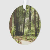 Muir Bossen Path I Natuur Fotografie Ornament (voorkant)