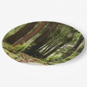 Muir Bossen Path I Natuur Fotografie Papieren Bordje (Gekanteld)