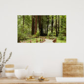 Muir Bossen Path I Natuur Fotografie Poster (Keuken)
