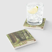 Muir Bossen Path I Natuur Fotografie Stenen Onderzetter (Zijkant)