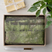 Muir Bossen Path I Natuur Fotografie Tissuepapier (Geschenk)