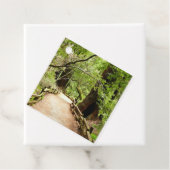 Muir Bossen Path II Natuur Fotografie Bedankjes Labels (In situ)