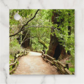 Muir Bossen Path II Natuur Fotografie Bedankjes Labels (Voorkant)