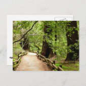 Muir Bossen Path II Natuur Fotografie Briefkaart (Voorkant / Achterkant)