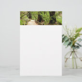 Muir Bossen Path II Natuur Fotografie Briefpapier (Staand voorkant)