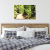 Muir Bossen Path II Natuur Fotografie Canvas Afdruk (Insitu (Slaapkamer))