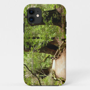 Muir Bossen Path II Natuur Fotografie Case-Mate iPhone Case