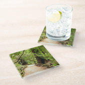 Muir Bossen Path II Natuur Fotografie Glazen Onderzetter (Schuin)