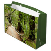 Muir Bossen Path II Natuur Fotografie Groot Cadeauzakje (Achterkant Gekanteld)