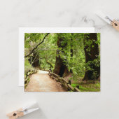 Muir Bossen Path II Natuur Fotografie Kaart (Voorkant / Achterkant in situ)