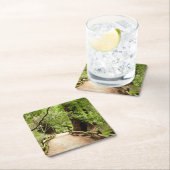 Muir Bossen Path II Natuur Fotografie Kartonnen Onderzetters (Insitu)