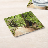 Muir Bossen Path II Natuur Fotografie Kartonnen Onderzetters (Schuin)
