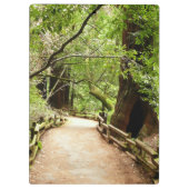 Muir Bossen Path II Natuur Fotografie Klembord (Achterkant)