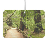 Muir Bossen Path II Natuur Fotografie Luchtverfrisser (Achterkant)