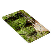 Muir Bossen Path II Natuur Fotografie Magneet (Rechterzijde)