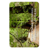 Muir Bossen Path II Natuur Fotografie Magneet (Verticaal)