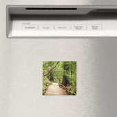 Muir Bossen Path II Natuur Fotografie Magneet (Insitu (Vaatwasser))