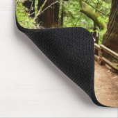 Muir Bossen Path II Natuur Fotografie Muismat (Hoek)