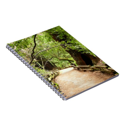 Muir Bossen Path II Natuur Fotografie Notitieboek (Rechterzijde)