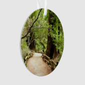 Muir Bossen Path II Natuur Fotografie Ornament (voorkant)