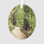 Muir Bossen Path II Natuur Fotografie Ornament (voorkant)