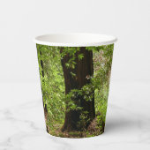 Muir Bossen Path II Natuur Fotografie Papieren Bekers (Achterkant)