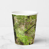 Muir Bossen Path II Natuur Fotografie Papieren Bekers (Rechts)