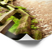 Muir Bossen Path II Natuur Fotografie Perfect Poster (Hoek)