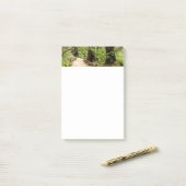 Muir Bossen Path II Natuur Fotografie Post-it® Notes (Op bureau)