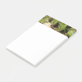 Muir Bossen Path II Natuur Fotografie Post-it® Notes (Schuin)