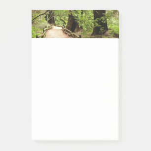 Muir Bossen Path II Natuur Fotografie Post-it® Notes