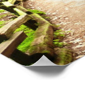 Muir Bossen Path II Natuur Fotografie Poster (Hoek)