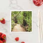 Muir Bossen Path II Natuur Fotografie Servetten (Insitu)